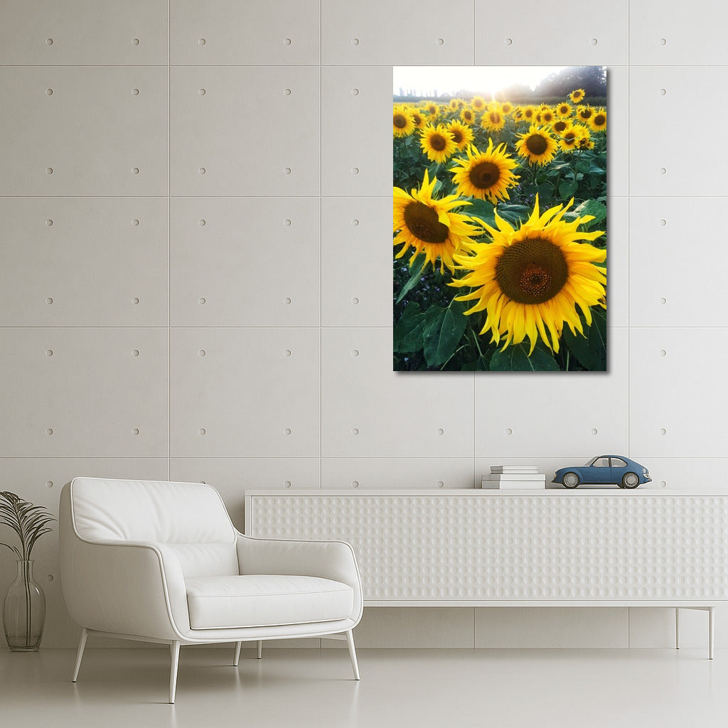 Sunny Sunflowers: Summer Field in Your Interior