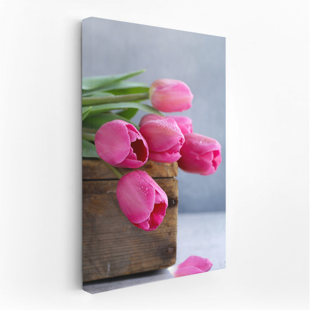 Delicate Pink Tulips on Grey Sky: Nature's Magic