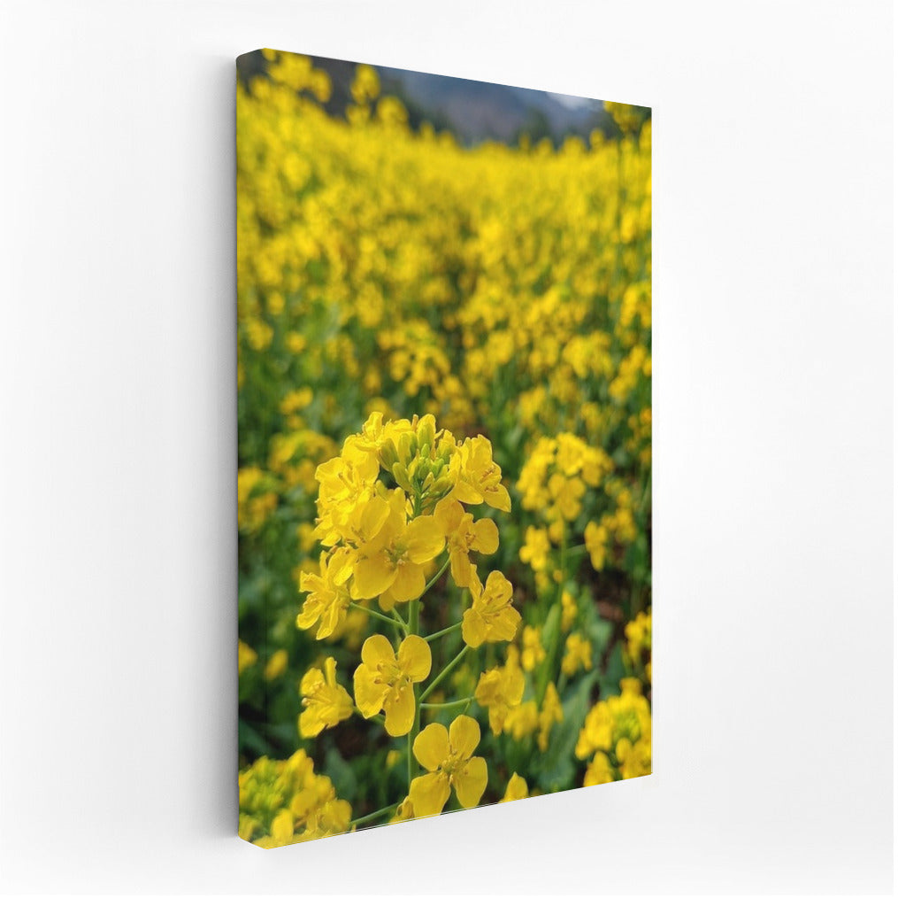 Sunny Dance of Rapeseed Flowers: Golden Symphony for Your Interior