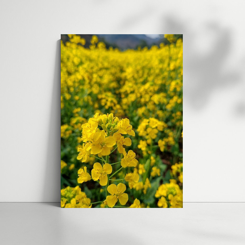 Sunny Dance of Rapeseed Flowers: Golden Symphony for Your Interior