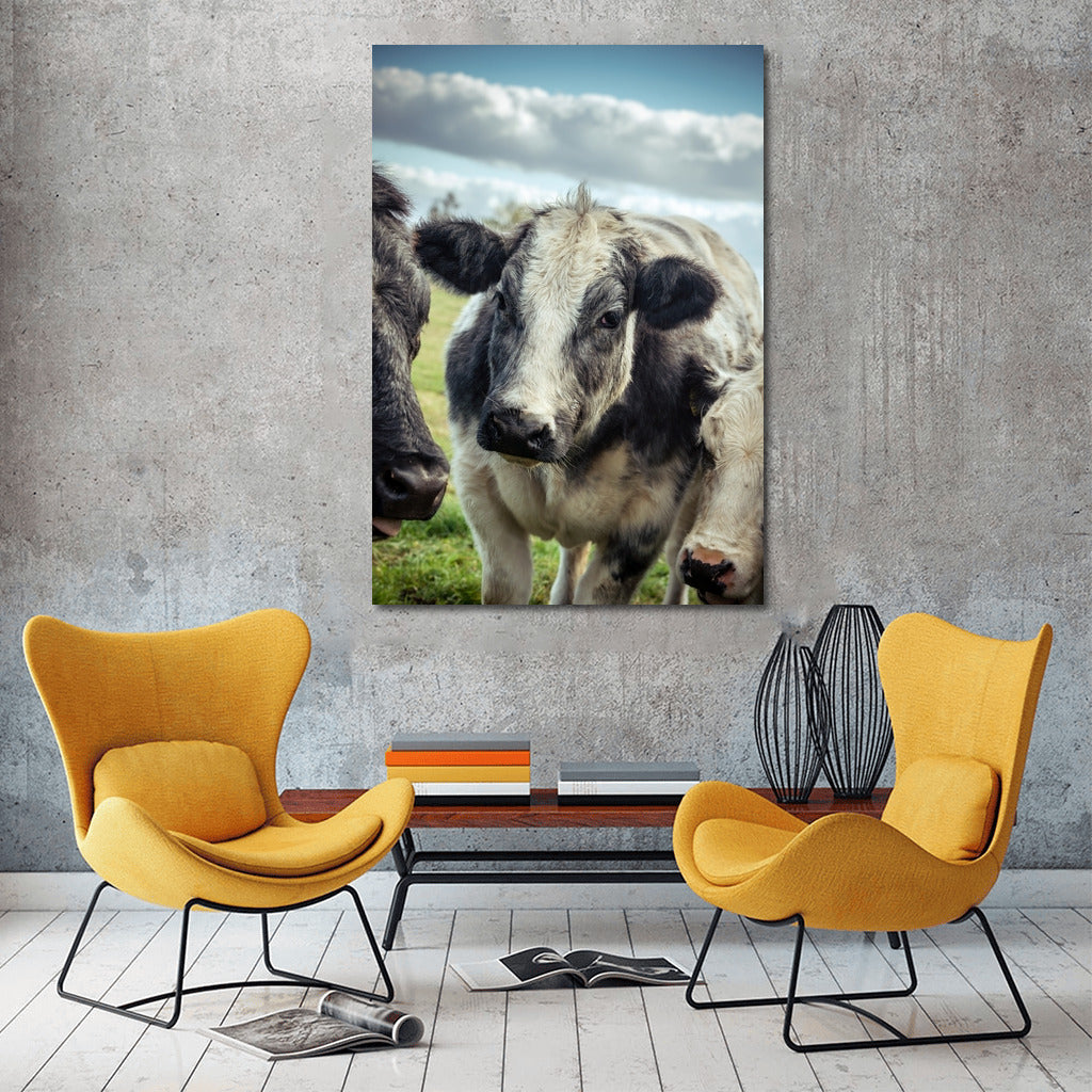 Pasture Idyll: Cows in Peace Under the Sky