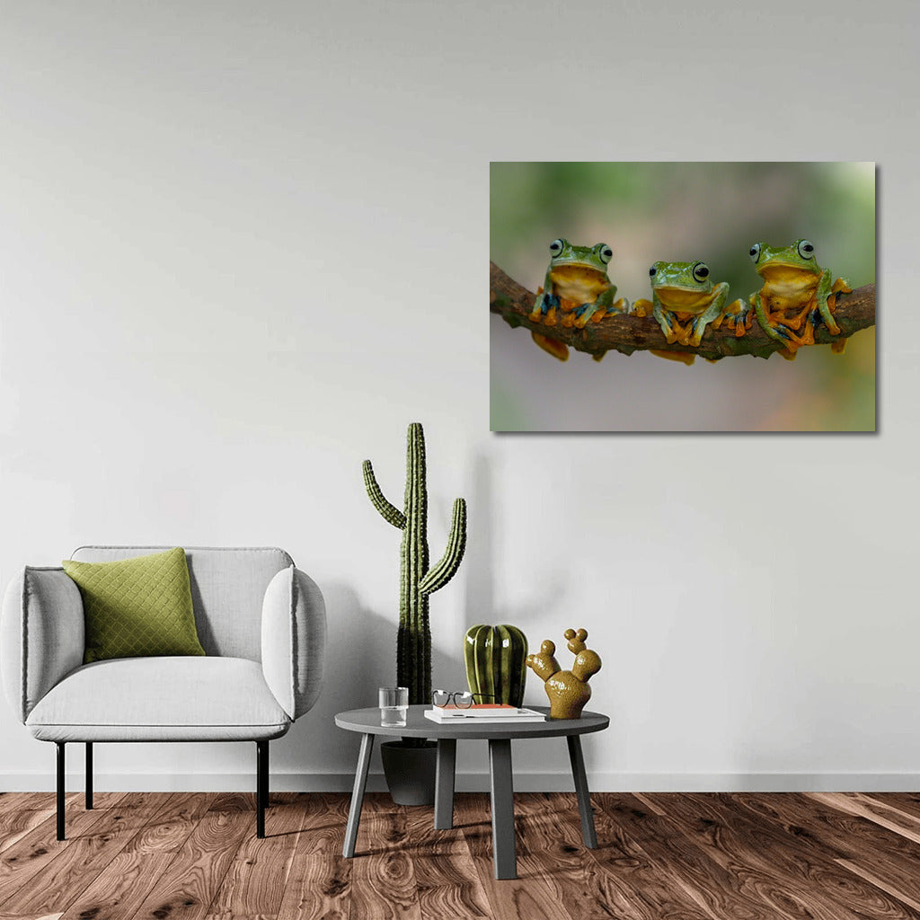 Three Happy Frogs: Fun Wall Decoration for Interior