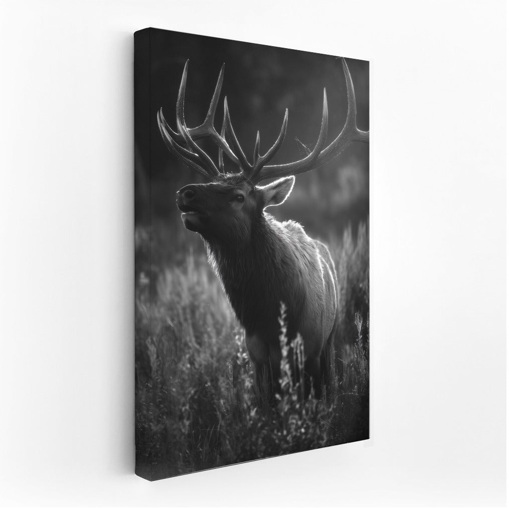 Twilight Majestic Deer: The King of the Forest in Nature