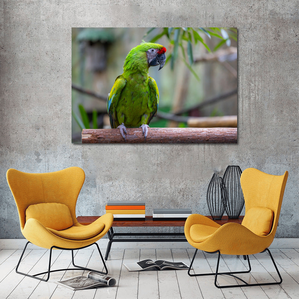 Tropical Macaw Parrot: Bright Exotic Colors for the Interior