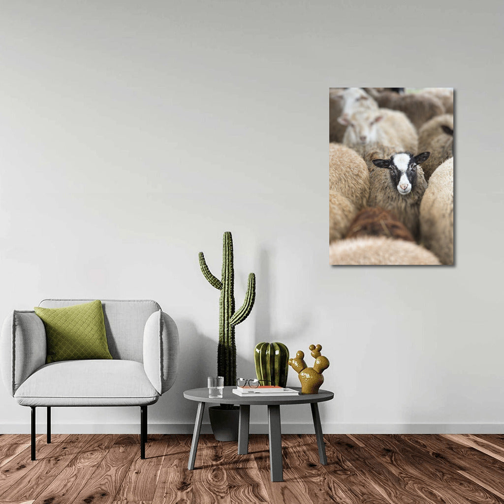 Fluffy Sheep: Comfort and Warmth for Your Home