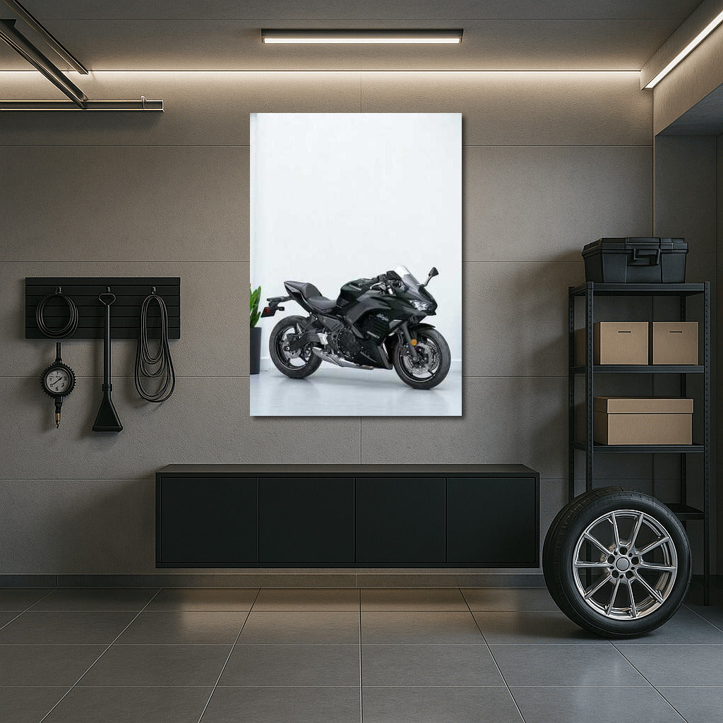 Kawasaki Ninja 650 ABS: The Spirit of Speed in the Parking Lot