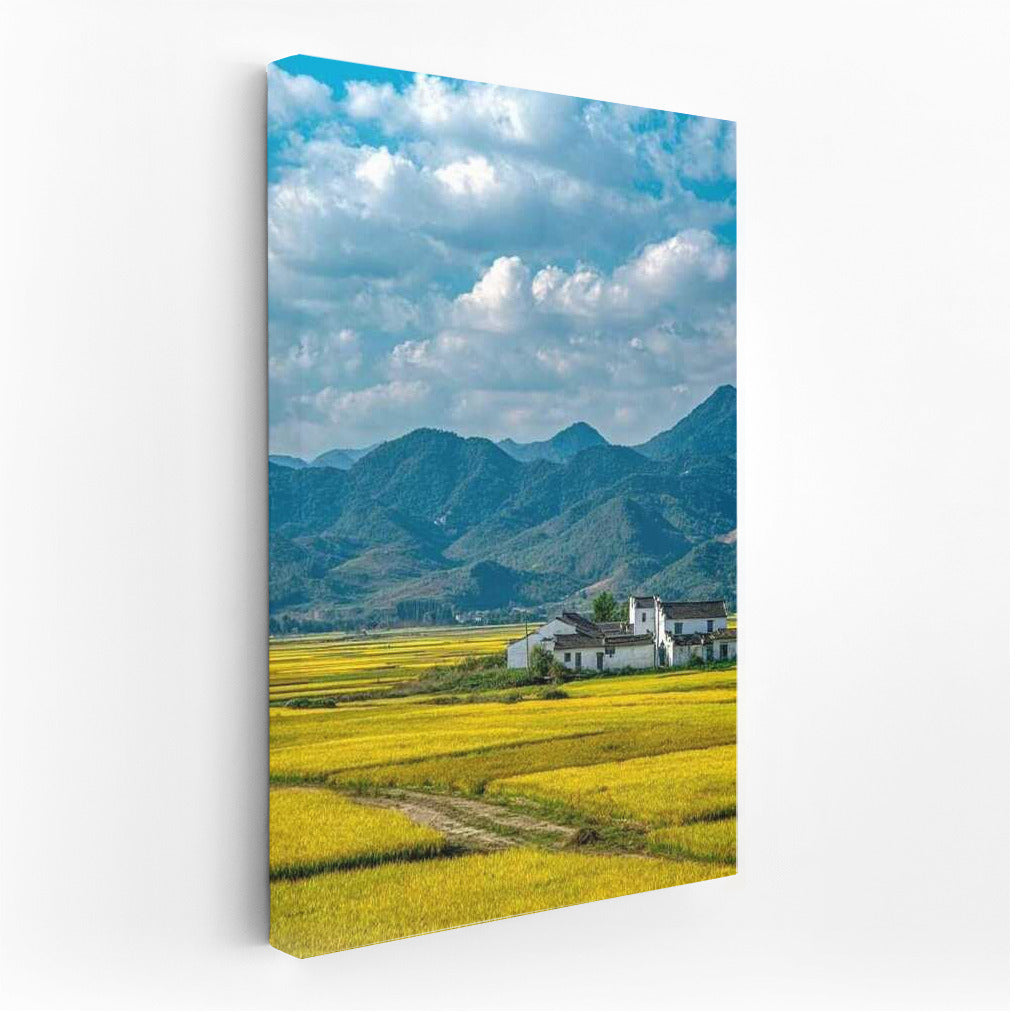 The comfort of golden fields and the grandeur of the mountains