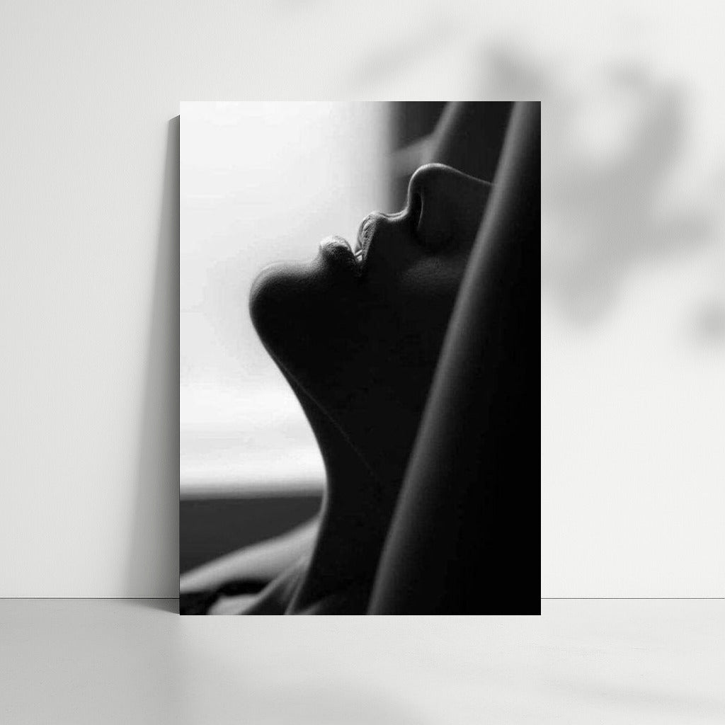 Sensual Mystery: Black and White Pleasure