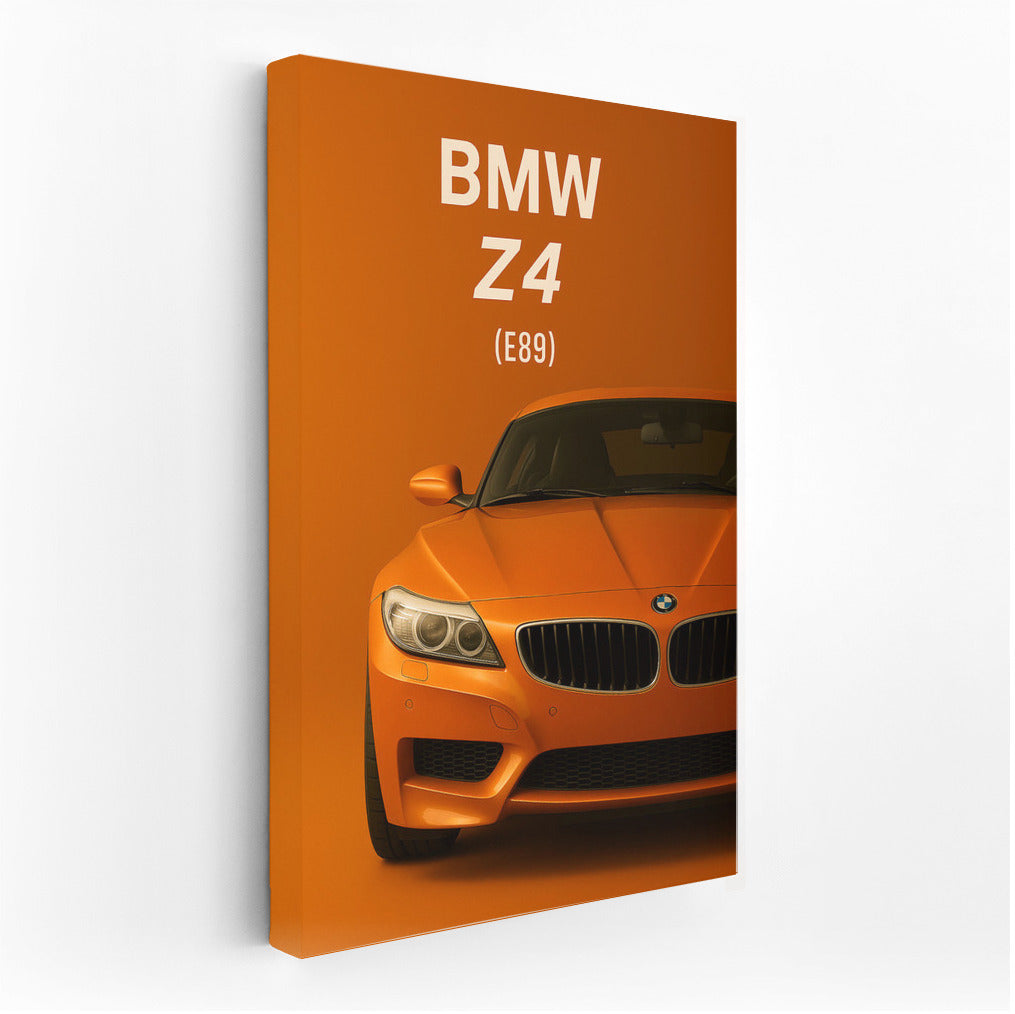 Dynamics and style: BMW Z4 E89 in motion