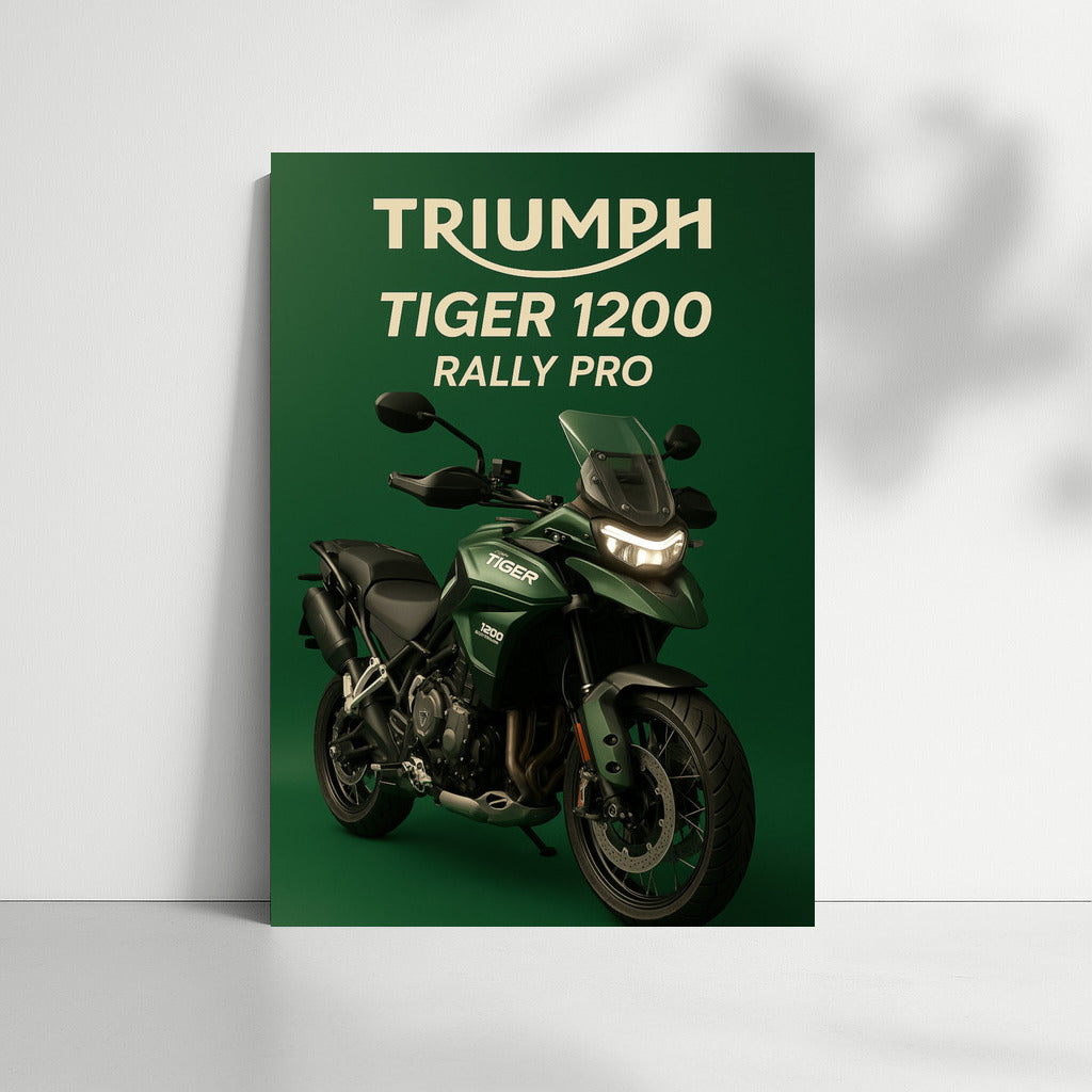 Triumph Tiger 1200 Rally Pro: Travel Energy