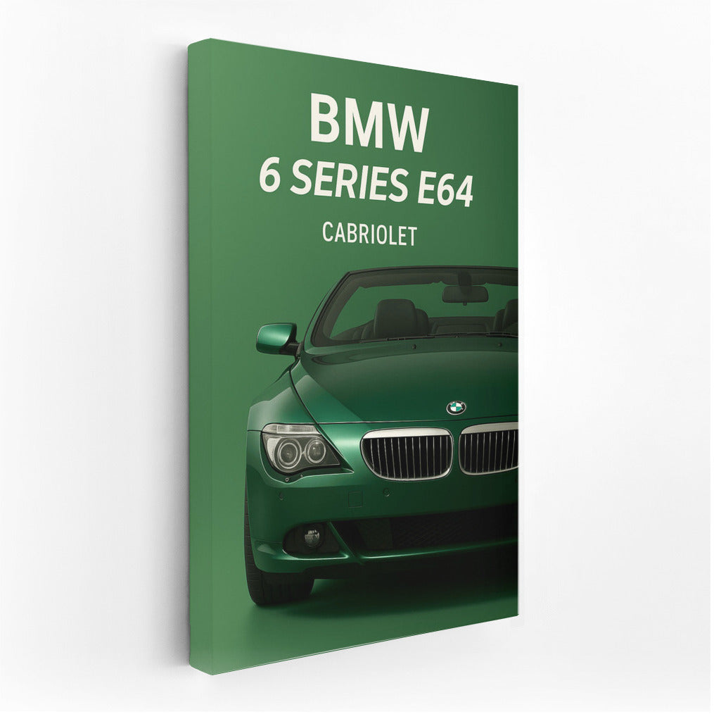 Elegant dynamics: BMW 6 Series E64 Cabriolet