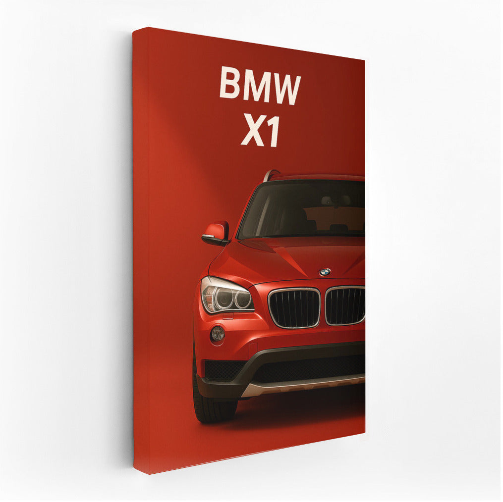 Power and style: BMW X1 E84 for true car lovers