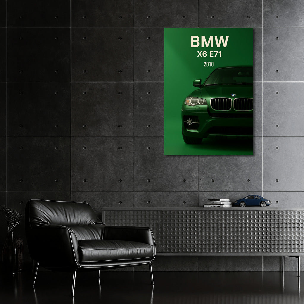 Elegance and Dynamics: BMW X6 E71
