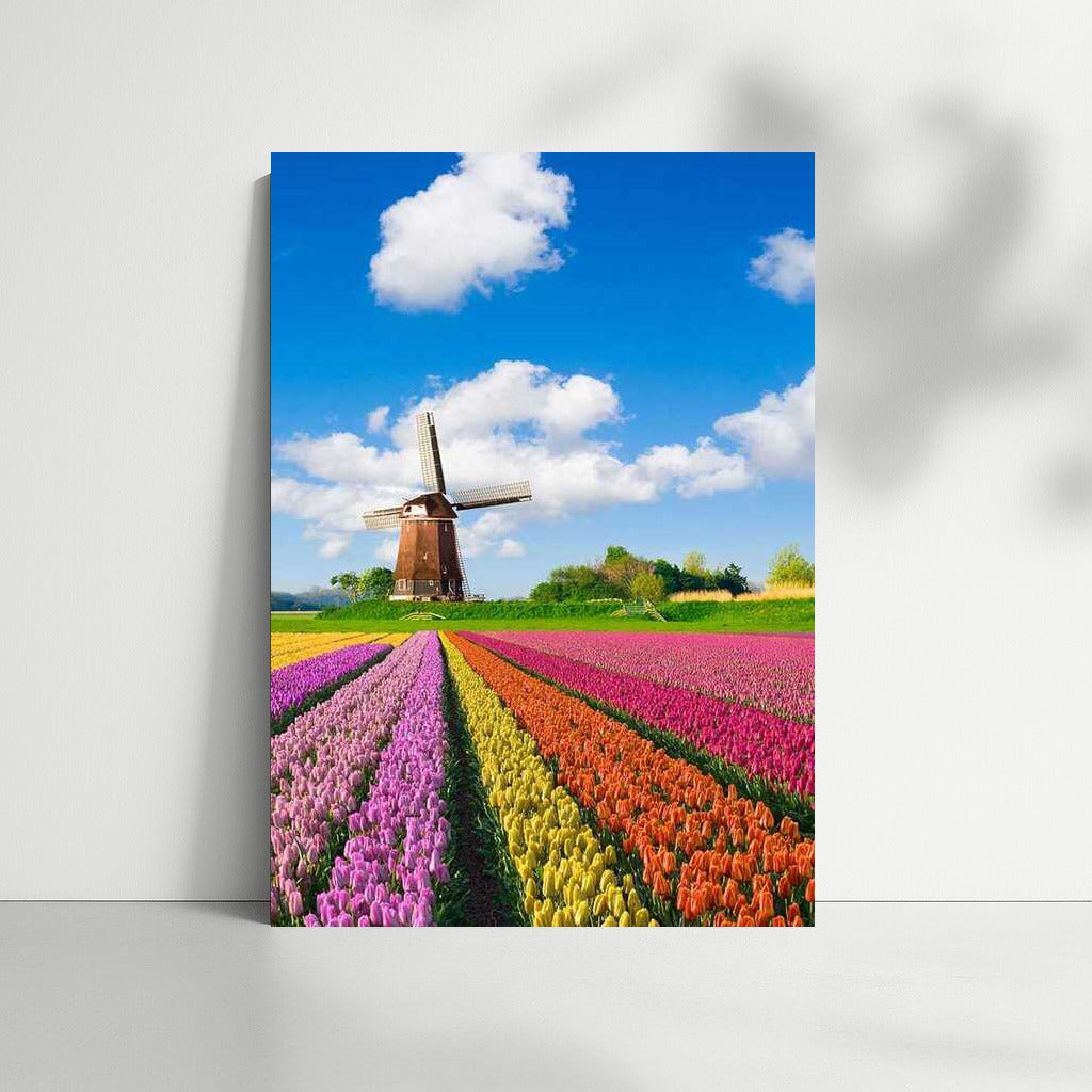 Tulips and a Windmill: The Charm of the Netherlands