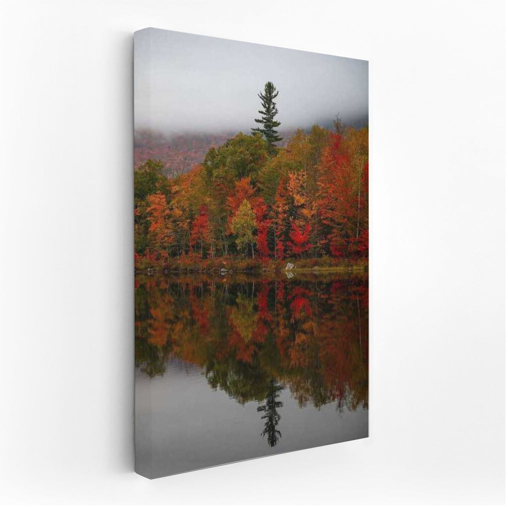 Autumn Symphony of Maine's Woods: Reflections of Nature in the United States