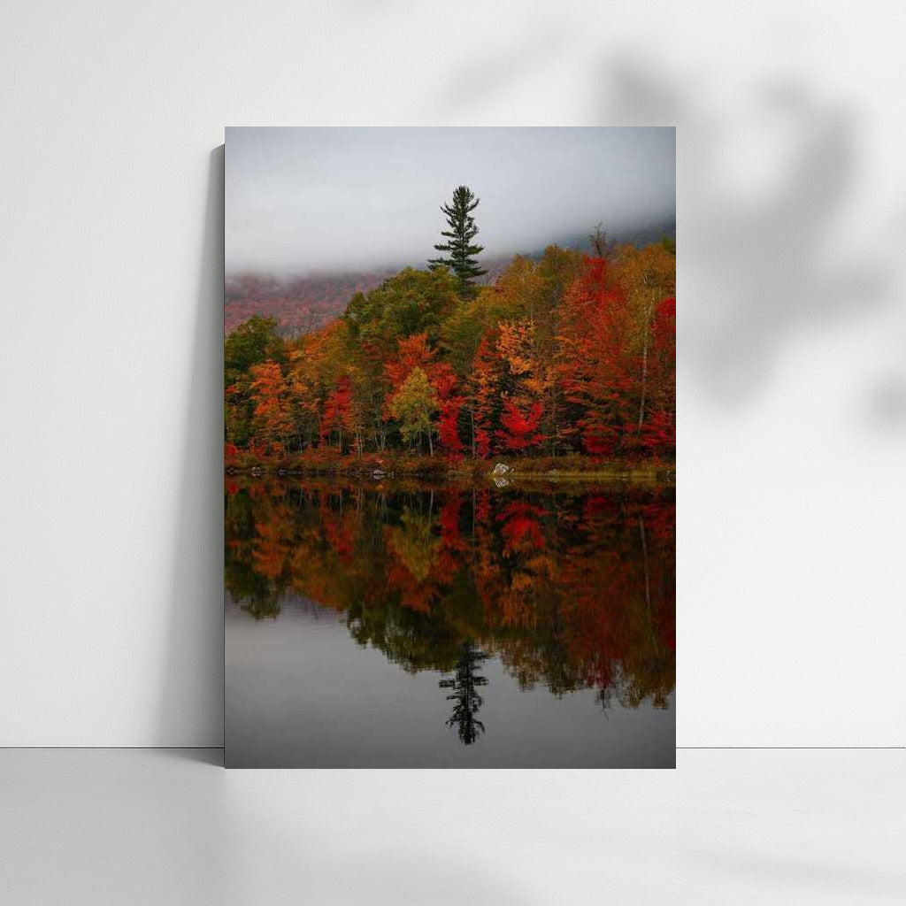 Autumn Symphony of Maine's Woods: Reflections of Nature in the United States