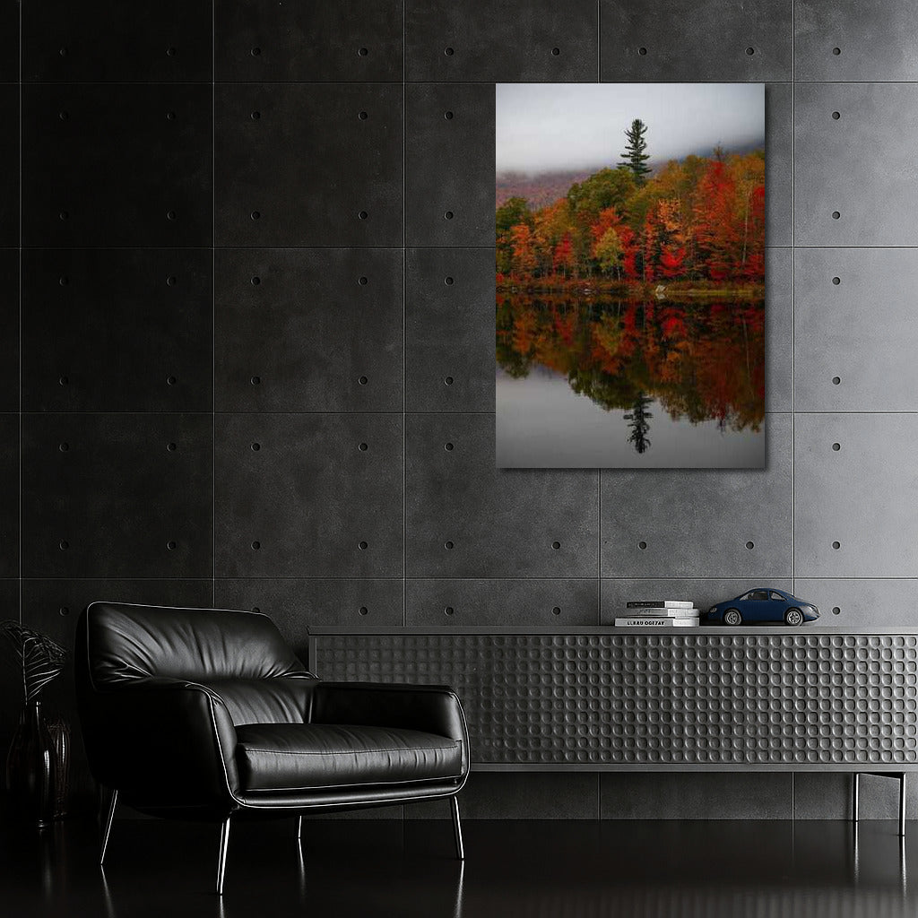Autumn Symphony of Maine's Woods: Reflections of Nature in the United States