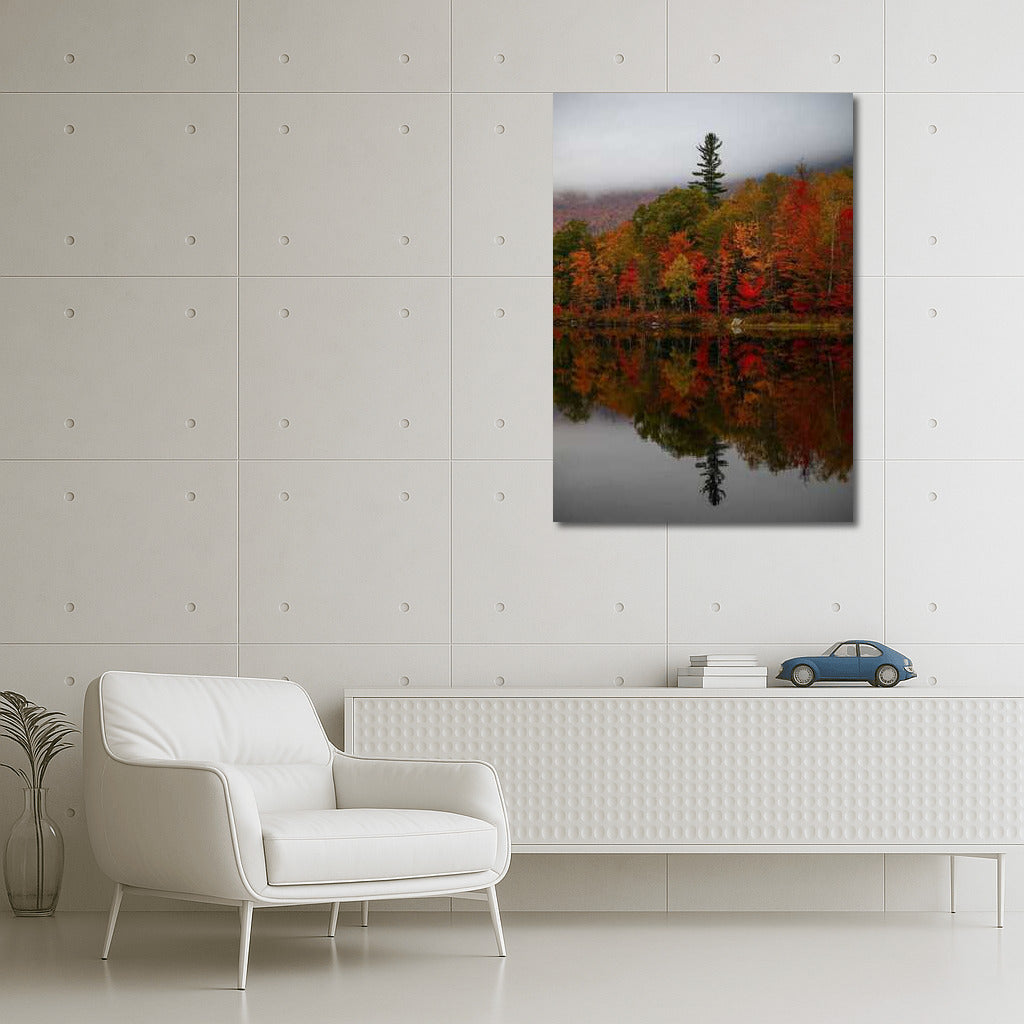 Autumn Symphony of Maine's Woods: Reflections of Nature in the United States