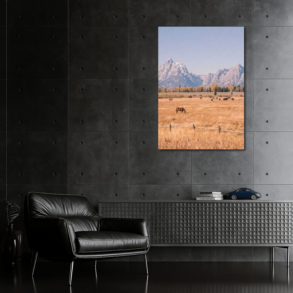 Wyoming's Greatness: Mountains, Prairie, and Free Horses