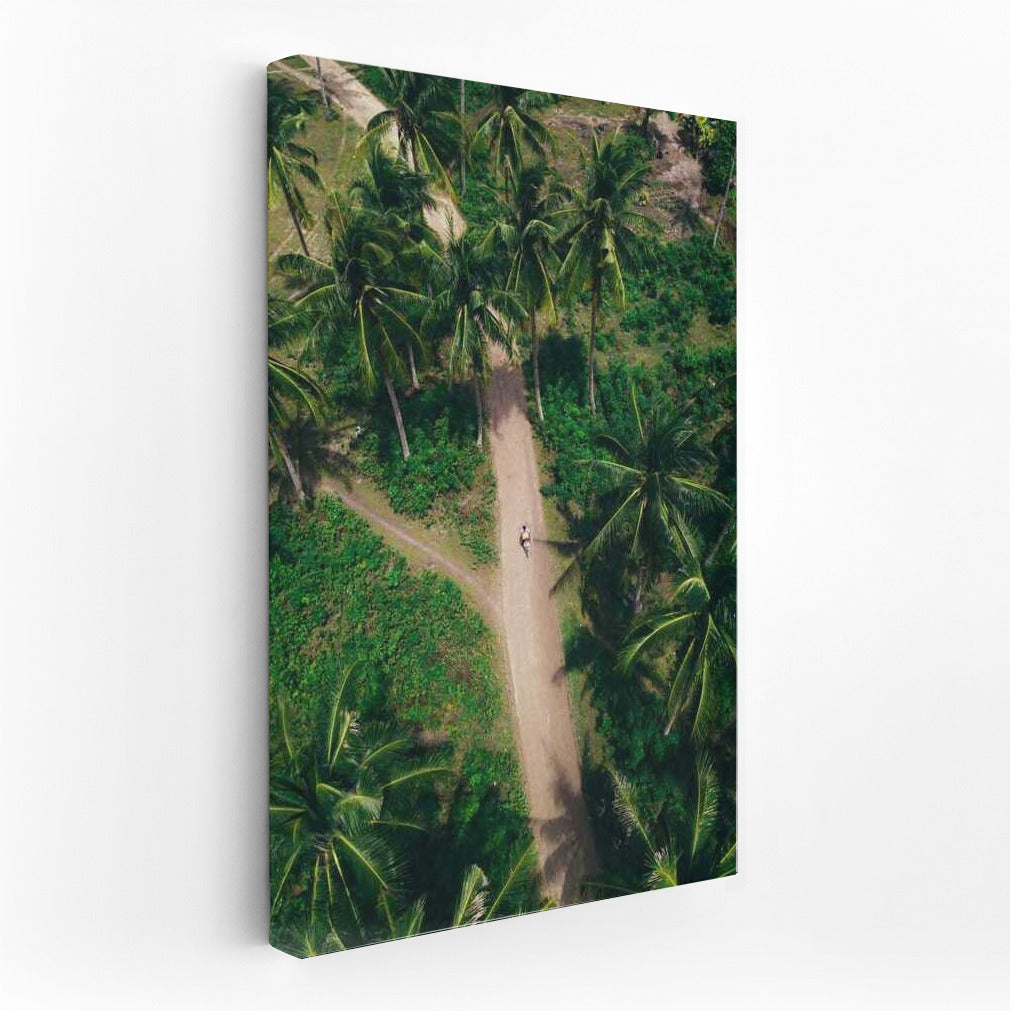 Tropical Oasis: Architectural Park Among Palms and Greenery