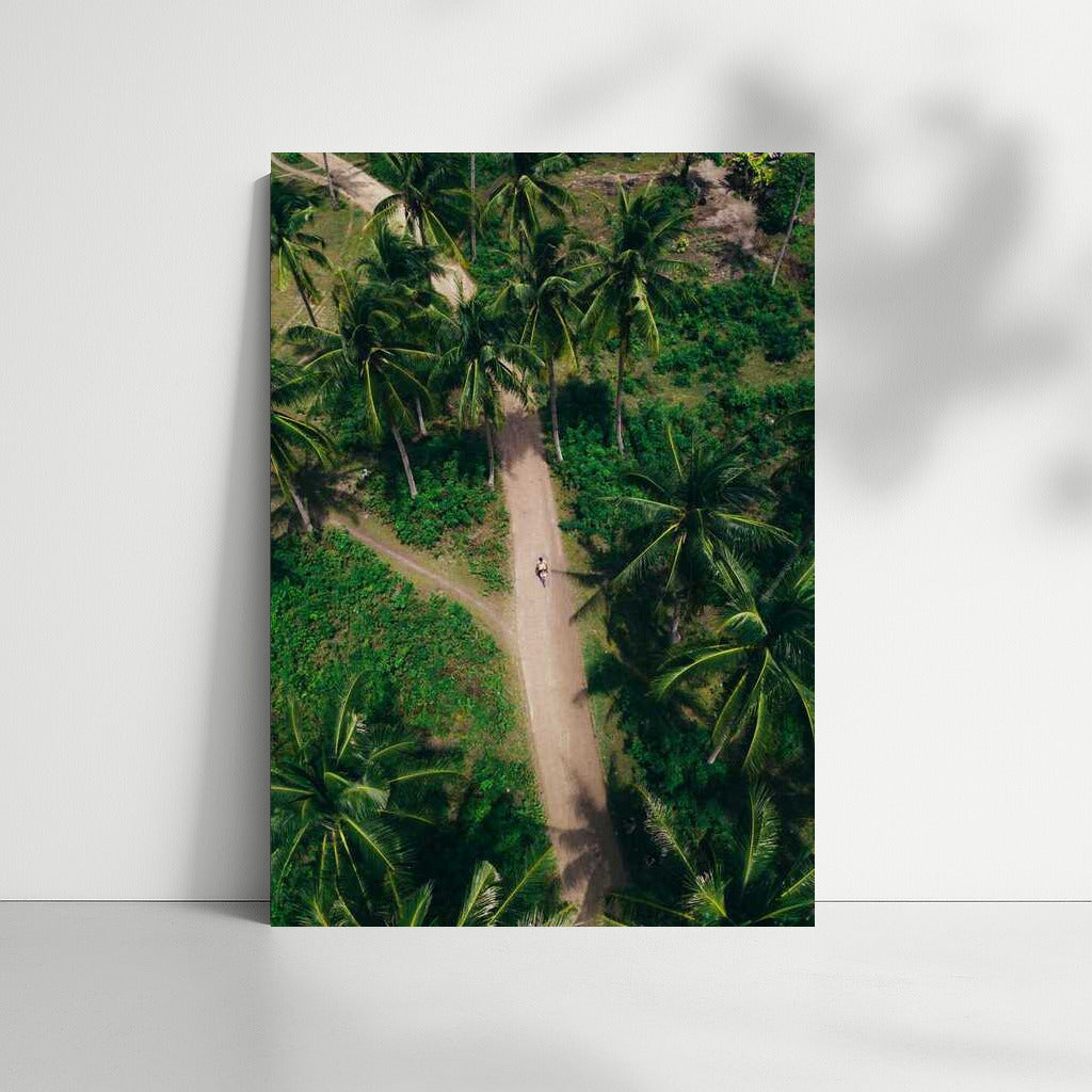 Tropical Oasis: Architectural Park Among Palms and Greenery