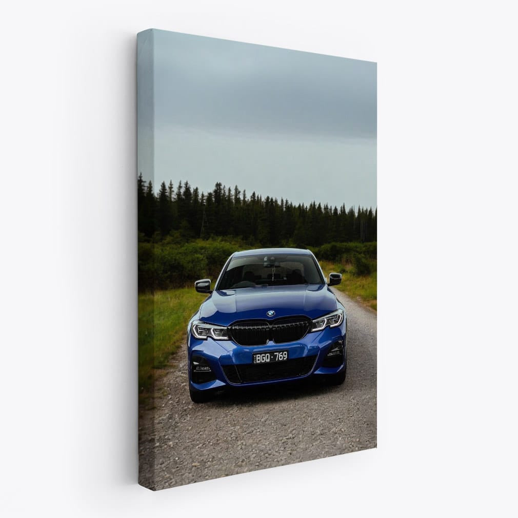 BMW 320i Blue - Sporty Elegance in Motion