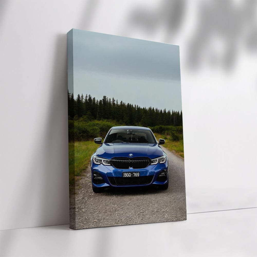 BMW 320i Blue - Sporty Elegance in Motion