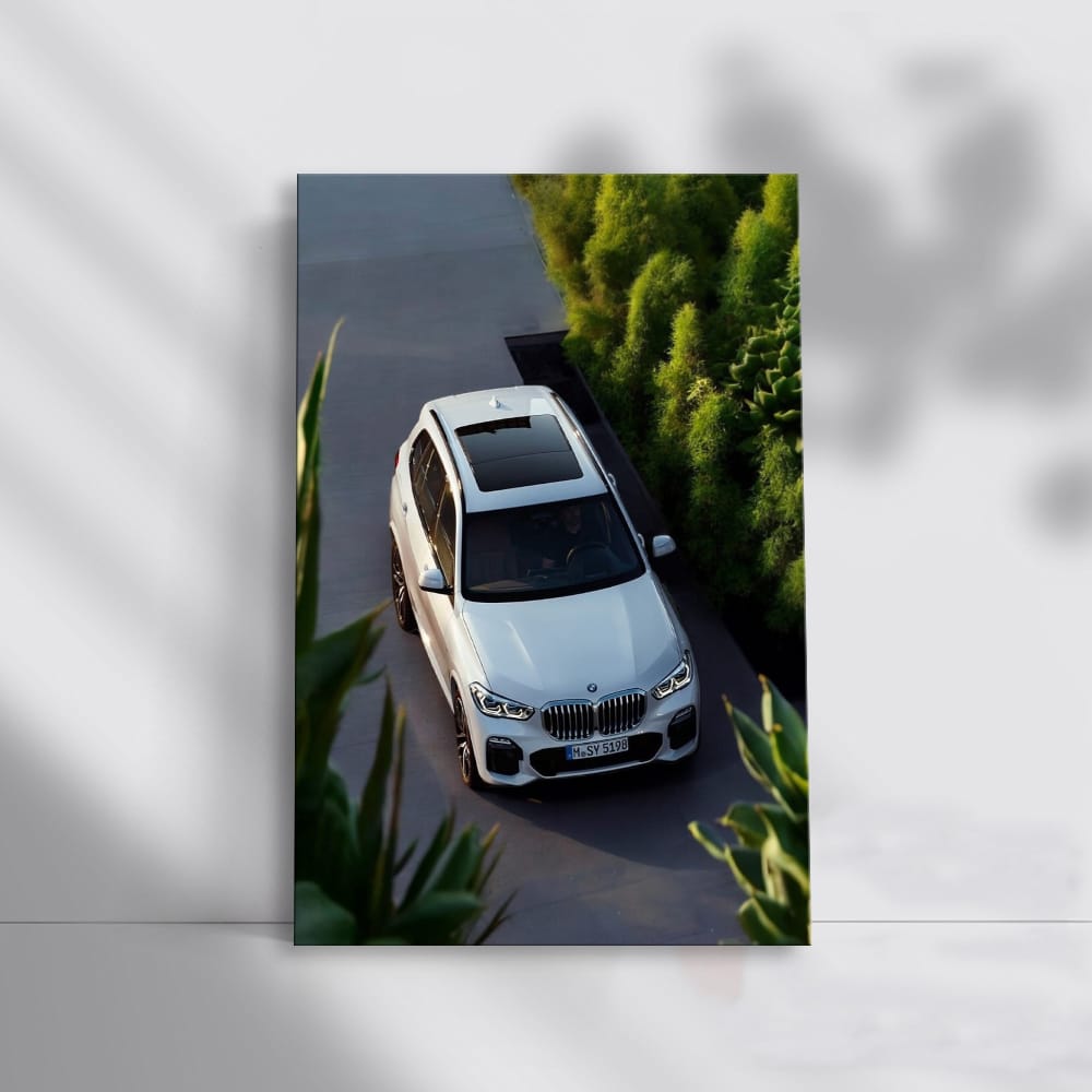 BMW X5 White - Sleek, Powerful, and Luxurious Drive