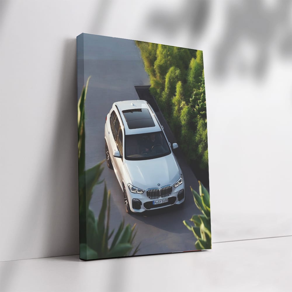 BMW X5 White - Sleek, Powerful, and Luxurious Drive