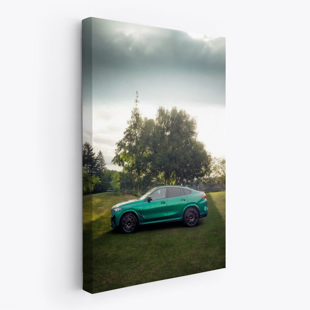 BMW X6M Competition Green: Bold Performance SUV