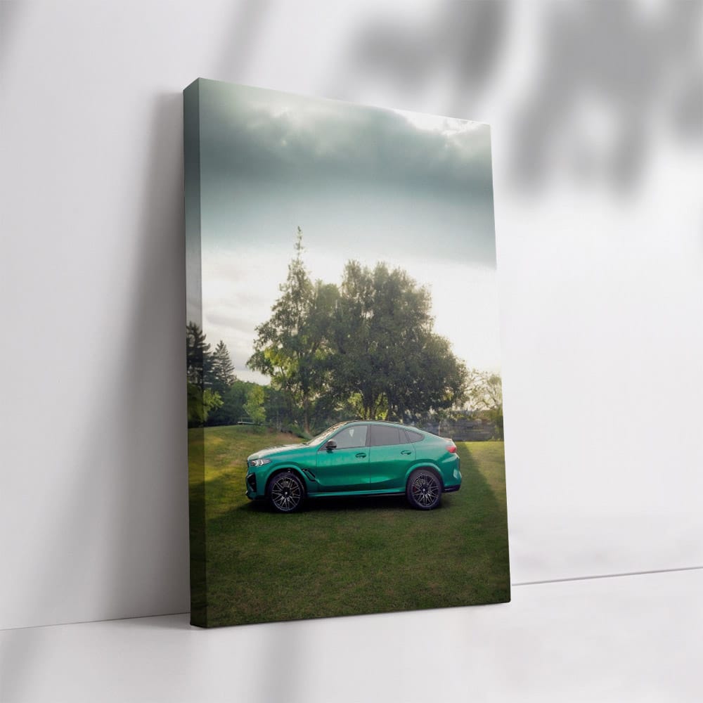 BMW X6M Competition Green: Bold Performance SUV