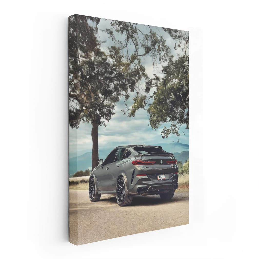 Sleek Grey BMW X6 - Dynamic Power and Elegance