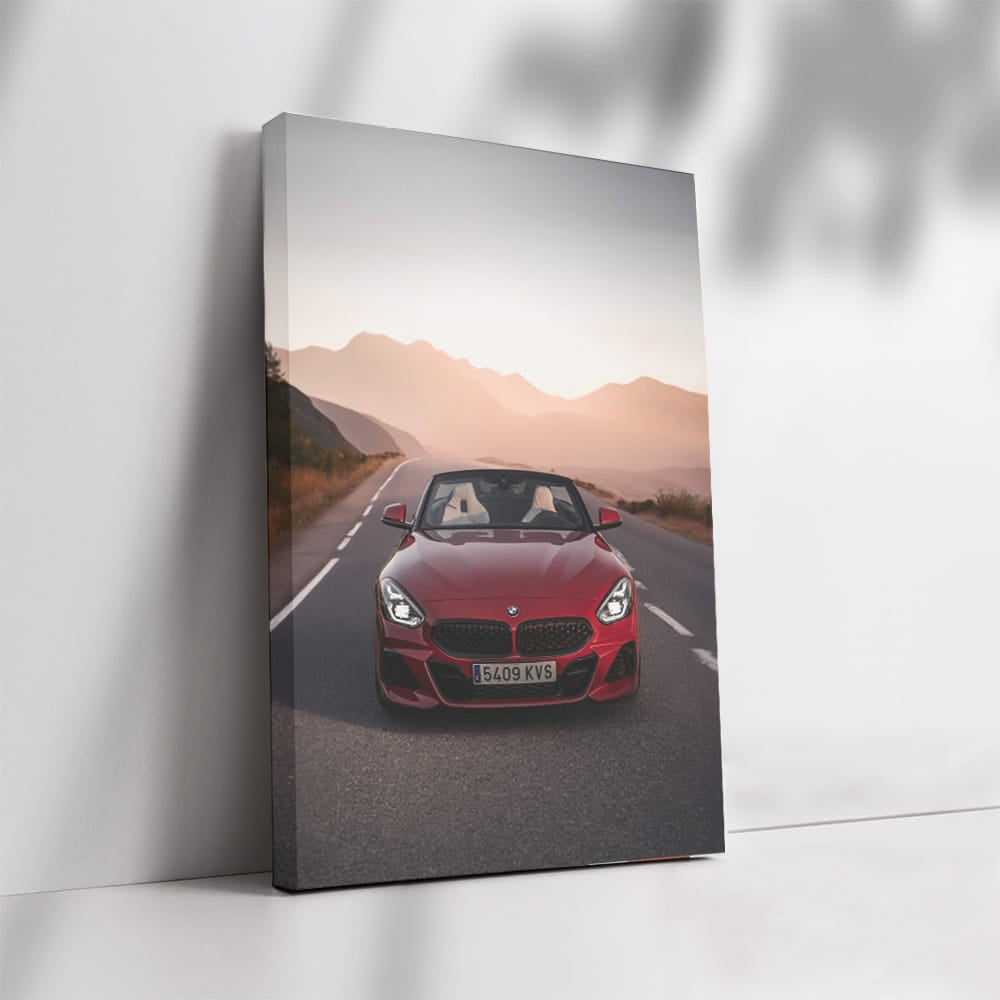 BMW Z4 in Red on Sunset Road - Stylish Elegance on Wheels