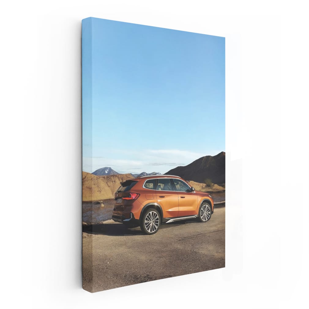 Stunning Brown BMW X1 - Compact Luxury Unleashed