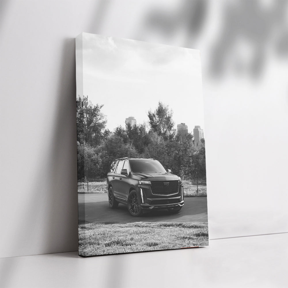 Cadillac Black & White 2 - Classic Elegance in Motion