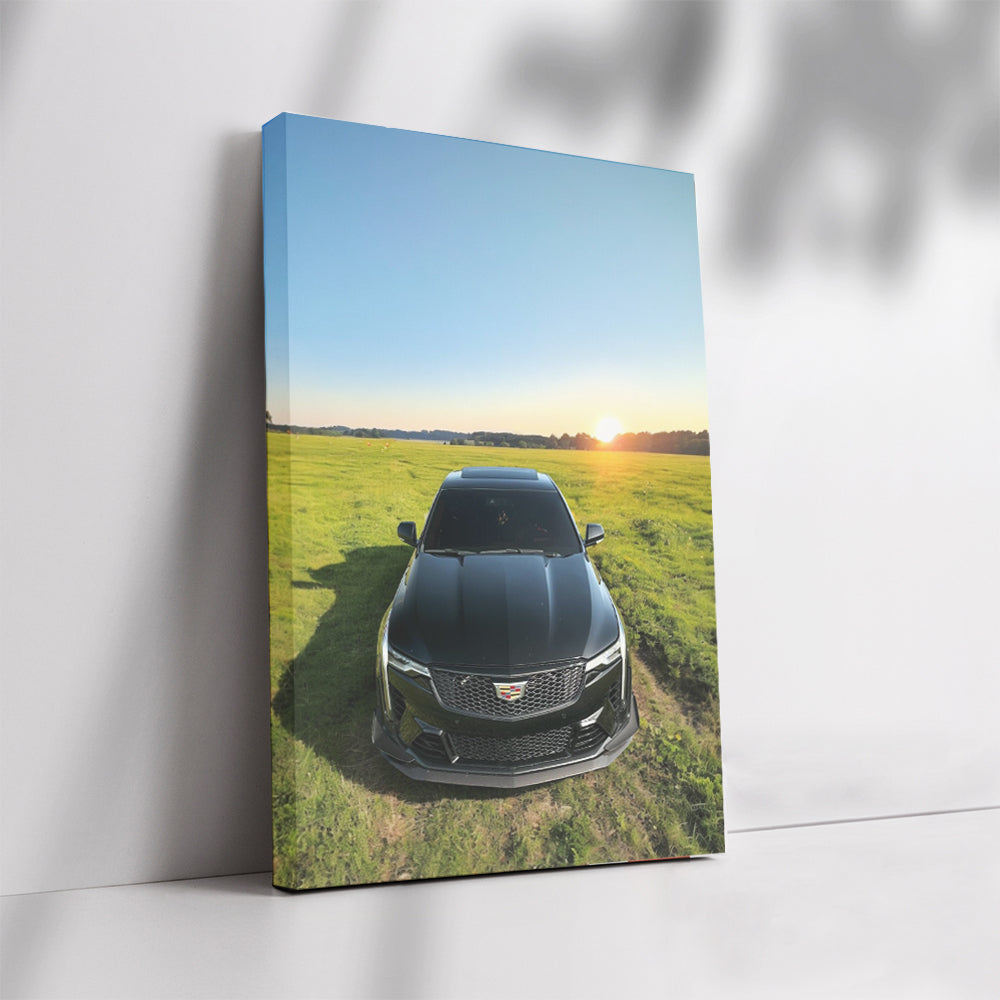 Black Cadillac in Field - Bold, Sleek, and Luxurious