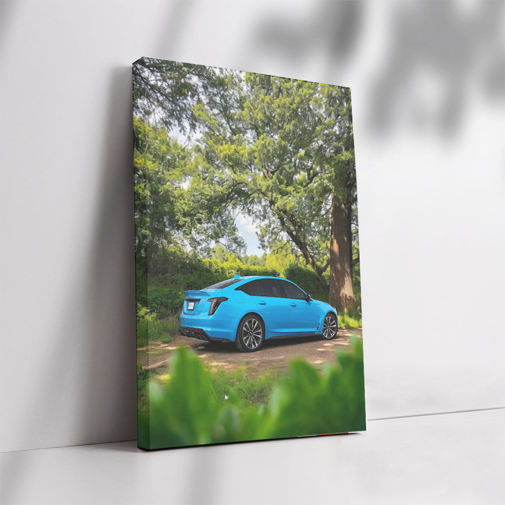 Forest Blue Cadillac - Classic Beauty in Nature