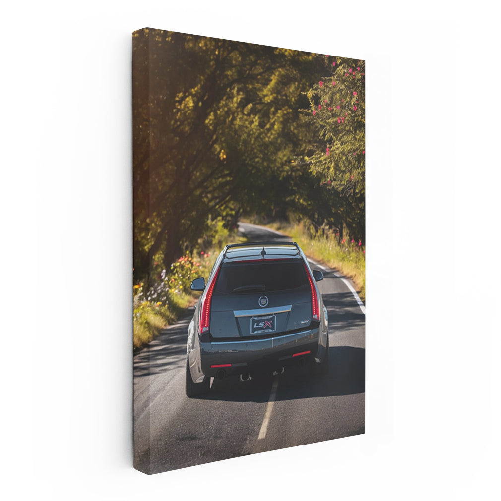 Cadillac Navigates Forest Roads - Luxury in Motion