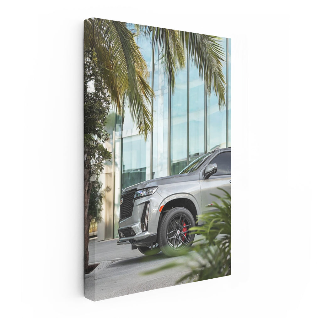 Cadillac in Gray beneath Palm Tree - Classic Elegance