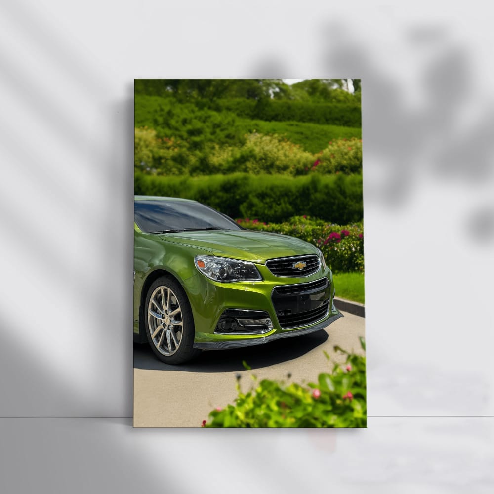 Chevrolet Chevy SS in Nature - Powerful and Bold