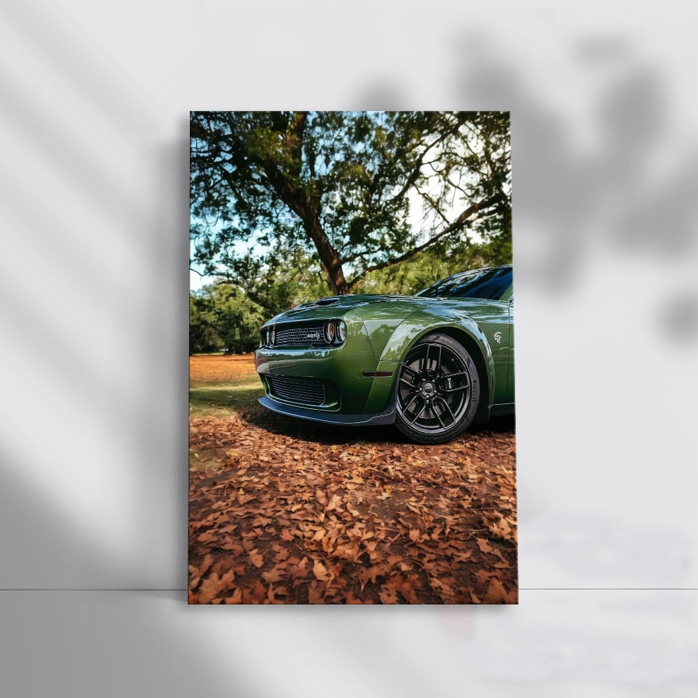 Autumn Challenge - Car Elegance and Power