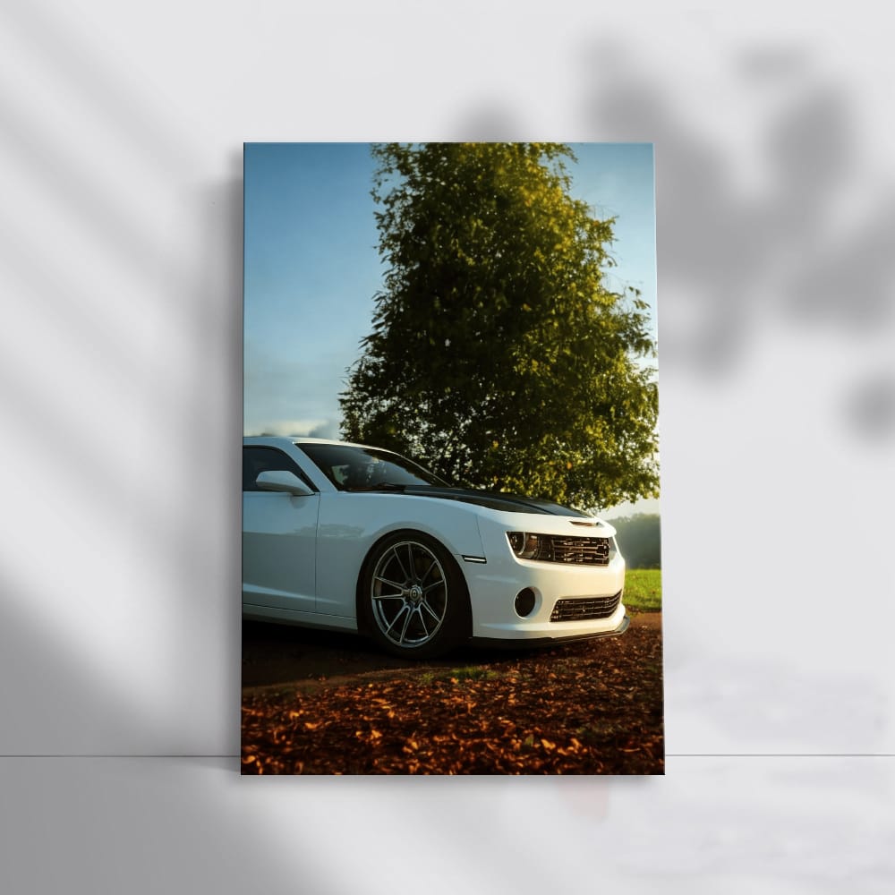 Chevrolet Camaro Amidst Forest - Power and Elegance