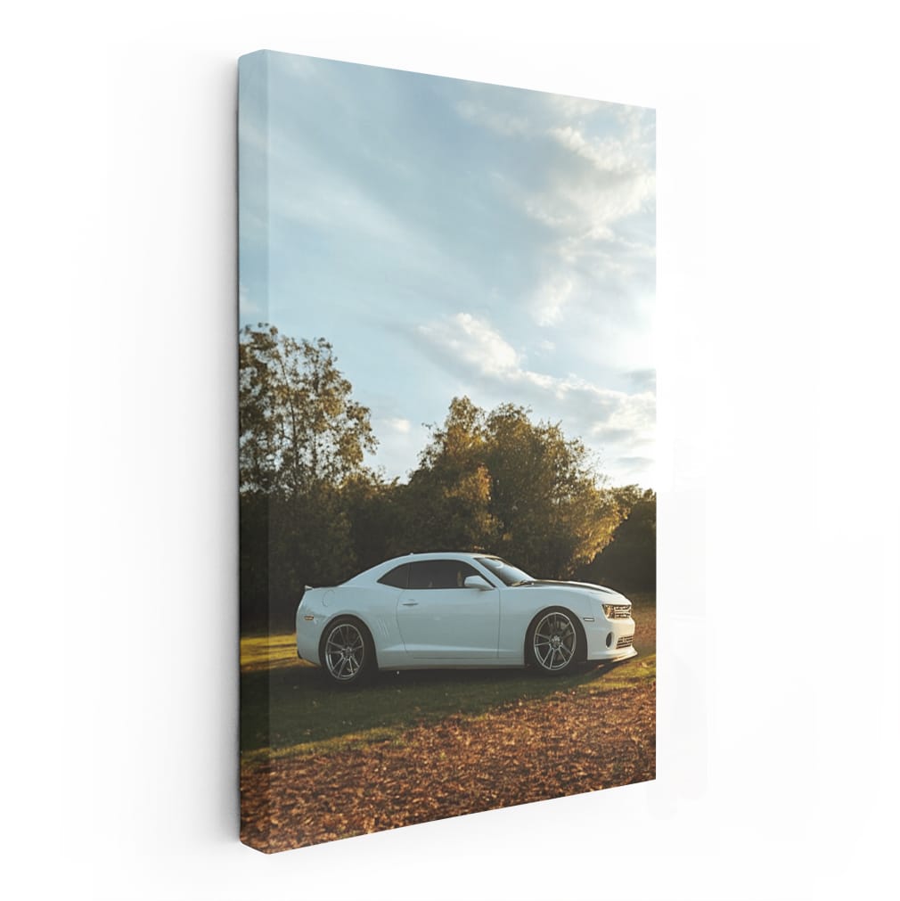 Chevrolet Camaro Adventuring in Woods - Bold and Powerful