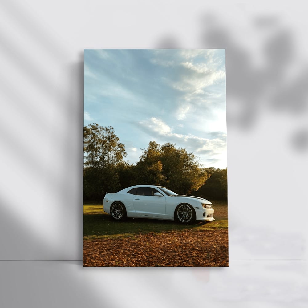 Chevrolet Camaro Adventuring in Woods - Bold and Powerful