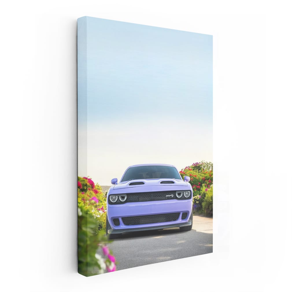 Dodge Challenger in Nature - Bold and Powerful Ride