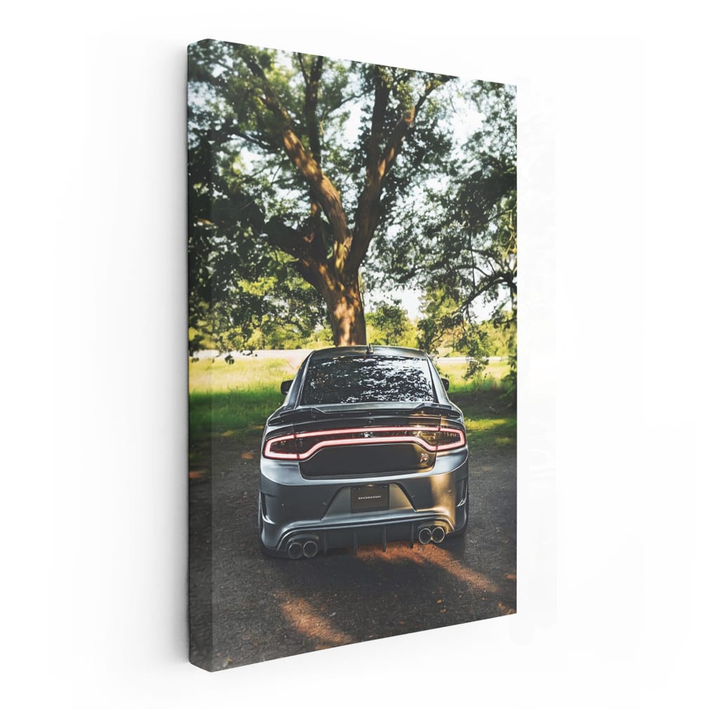 Dodge Charger Parked in Garden - Bold Muscle Car