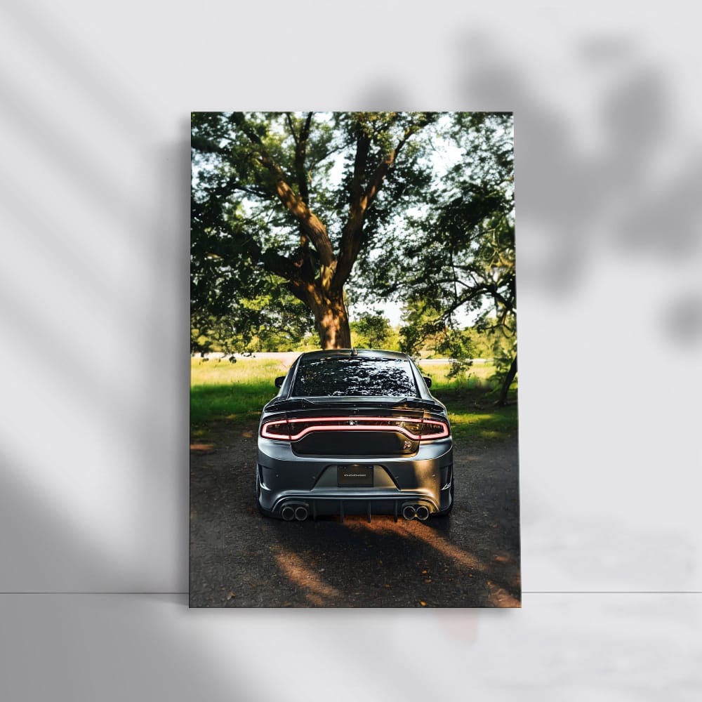 Dodge Charger Parked in Garden - Bold Muscle Car