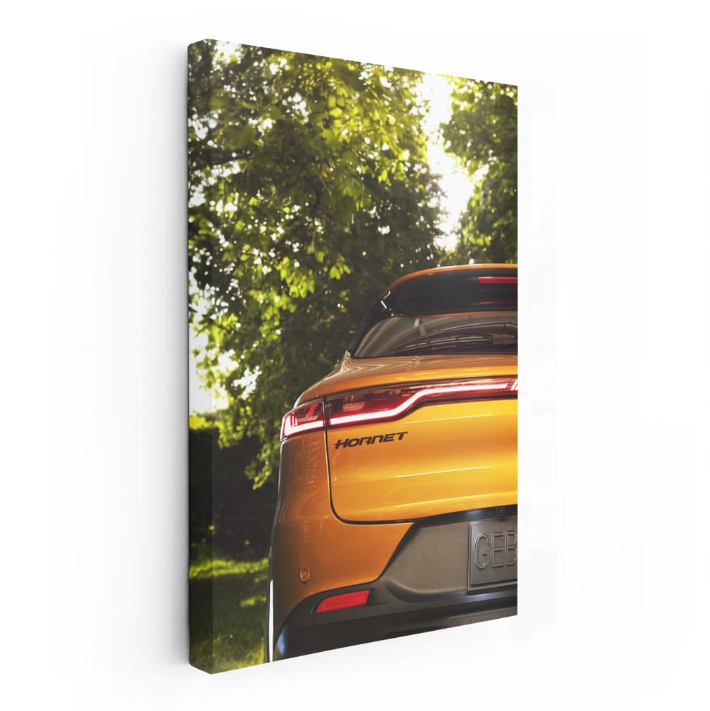 Yellow Dodge Hornet in Nature - Dynamic and Bold