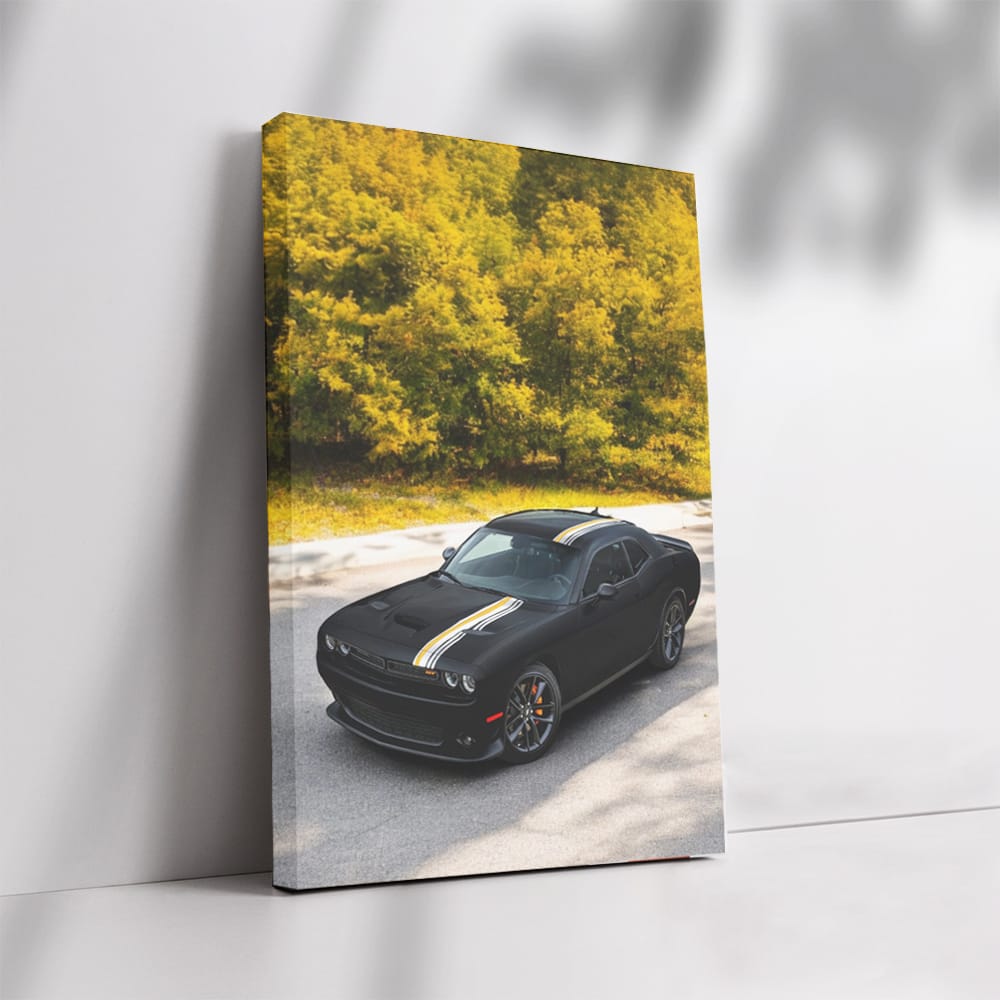 Autumn Drive Dodge - Capture 2 - Elegance in Motion