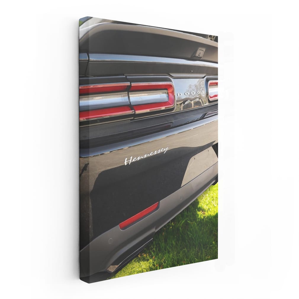 Black Dodge in Nature - Bold and Powerful Adventure